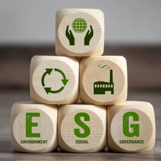 濾能股份有限公司-ESG永續發展政策與行動