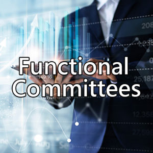 The functional committees are conducive to the decision-making